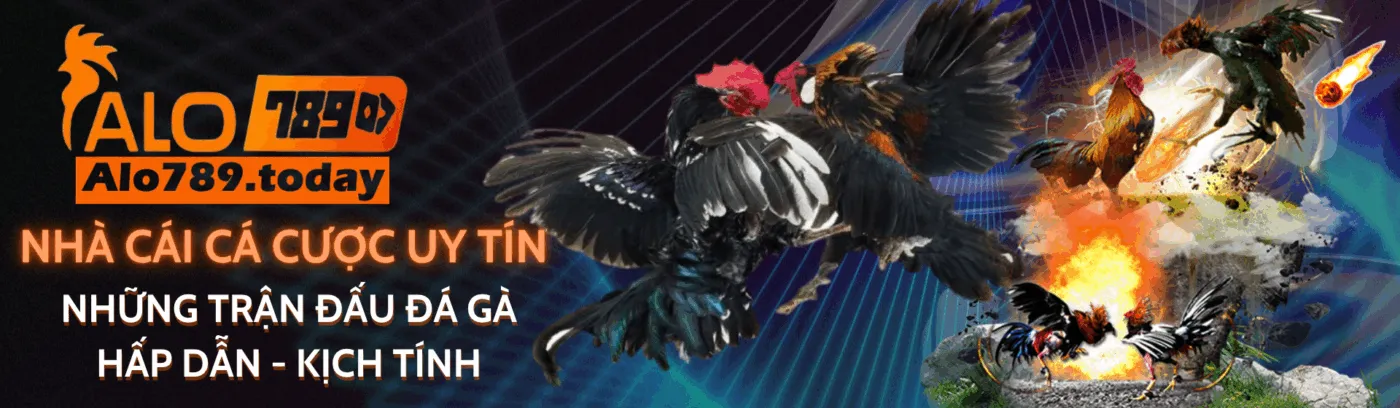 banner cybertech.in.net